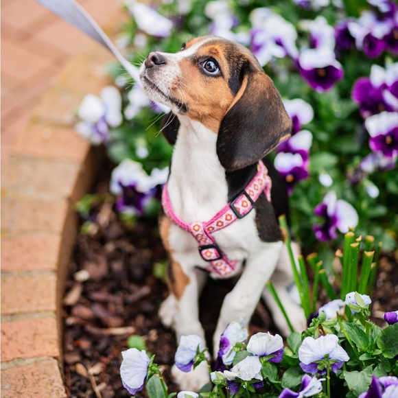 Meet your Posher, Jessica - Picture 10 of 11